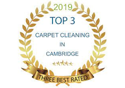 Top 3 Carpet Cleaning in Cambridge, 2019 Award, Three Best Rated
