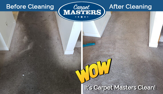 Carpet Before and After Cleaning by the Carpet Masters