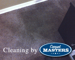 After Cleaning by Carpet Masters
