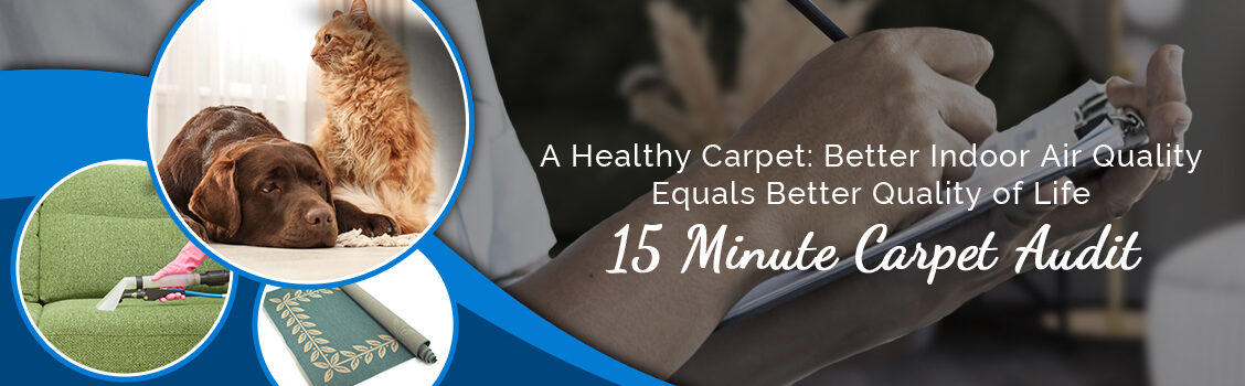 Carpet Masters 15 Minute Carpet Audit