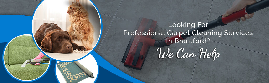Looking for professional carpet cleaning services in Brantford? We can help.