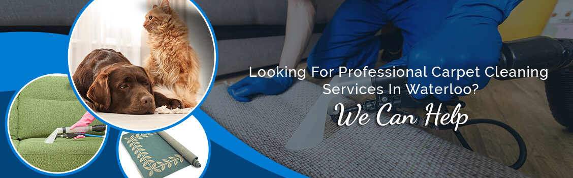 Looking for professional carpet cleaning services in Waterloo? We can help.