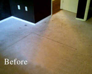 Dirty Carpet Before Cleaning by Carpet Masters