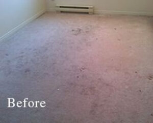 Dirty Carpet Before Cleaning by Carpet Masters