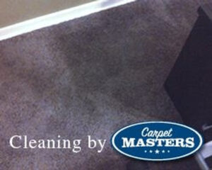 Great Looking Carpet After Cleaning by Carpet Masters