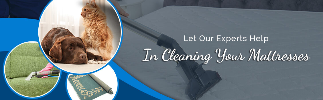 Carpet Masters Mattress Cleaning Services