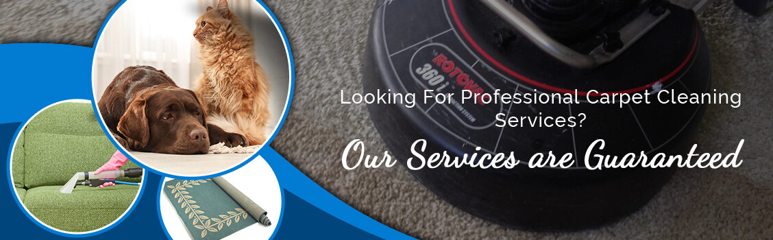 Looking for Professional Carpet Cleaning Services? Our Services are Guaranteed